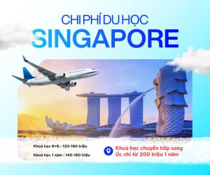 Trang chủ 11 1417630059330368544